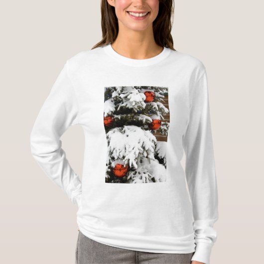 Canada, Alberta, Jasper, Jasper NP. Fairmont 2 T-shirt (Voorkant)