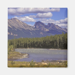 Canada, Alberta, Jasper Nationaal Park. Groot Magneet