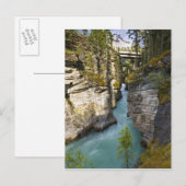 Canada, Alberta, Jasper National Park, Athabasca 2 Briefkaart (Voorkant / Achterkant)