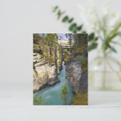Canada, Alberta, Jasper National Park, Athabasca 2 Briefkaart (Staand voorkant)