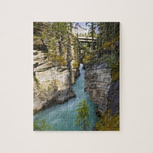 Canada, Alberta, Jasper National Park, Athabasca 2 Legpuzzel