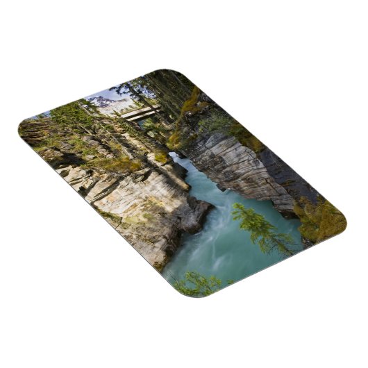 Canada, Alberta, Jasper National Park, Athabasca 2 Magneet (Rechterzijde)