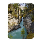 Canada, Alberta, Jasper National Park, Athabasca 2 Magneet (Verticaal)