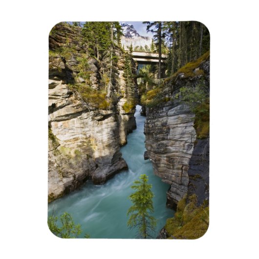Canada, Alberta, Jasper National Park, Athabasca 2 Magneet (Verticaal)