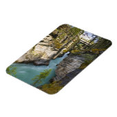 Canada, Alberta, Jasper National Park, Athabasca 2 Magneet (Linkerzijde)
