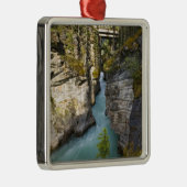 Canada, Alberta, Jasper National Park, Athabasca 2 Metalen Ornament (Rechts)