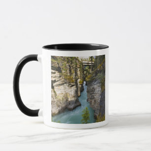 Canada, Alberta, Jasper National Park, Athabasca 2 Mok