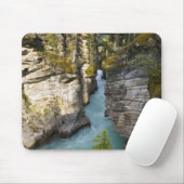 Canada, Alberta, Jasper National Park, Athabasca 2 Muismat (Met muis)