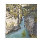 Canada, Alberta, Jasper National Park, Athabasca 2 Notitieblok (Voorkant)