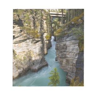 Canada, Alberta, Jasper National Park, Athabasca 2 Notitieblok