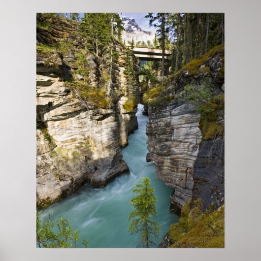 Canada, Alberta, Jasper National Park, Athabasca 2 Poster (Voorkant)