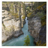 Canada, Alberta, Jasper National Park, Athabasca 2 Tegeltje (Voorkant)