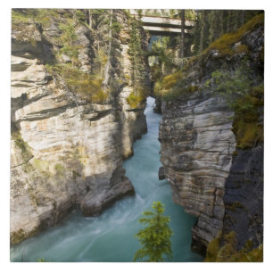 Canada, Alberta, Jasper National Park, Athabasca 2 Tegeltje