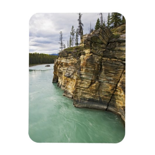 Canada, Alberta, Jasper National Park, Athabasca Magneet (Verticaal)