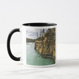 Canada, Alberta, Jasper National Park, Athabasca Mok