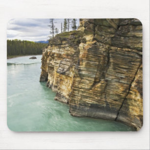 Canada, Alberta, Jasper National Park, Athabasca Muismat