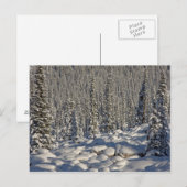 Canada, Alberta, Jasper National Park. Briefkaart (Voorkant / Achterkant)