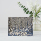 Canada, Alberta, Jasper National Park. Briefkaart (Staand voorkant)