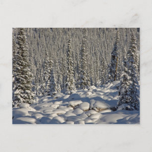 Canada, Alberta, Jasper National Park. Briefkaart