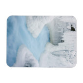 Canada, Alberta, Jasper National Park. De Magneet (Horizontaal)