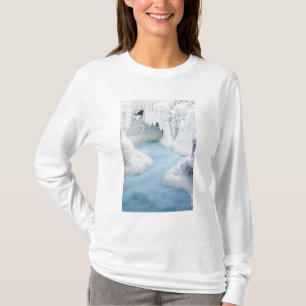 Canada, Alberta, Jasper National Park. De T-shirt
