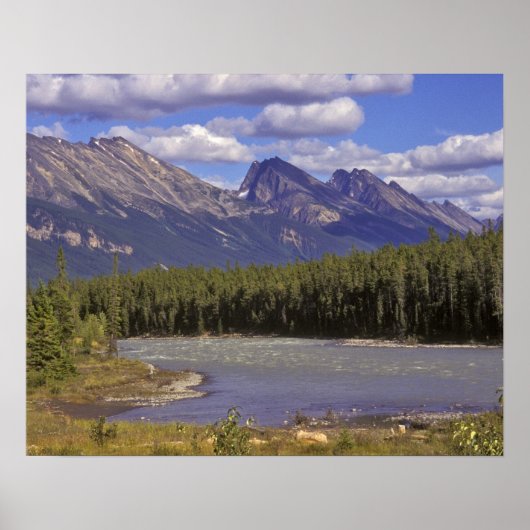 Canada, Alberta, Jasper National Park. Groot Poster (Voorkant)