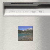 Canada, Alberta, Jasper National Park: JASPER, Magneet (Insitu (Vaatwasser))