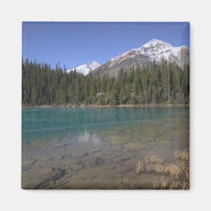 Canada, Alberta, Jasper National Park: JASPER, Magneet