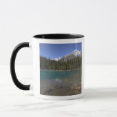 Canada, Alberta, Jasper National Park: JASPER, Mok (Links)