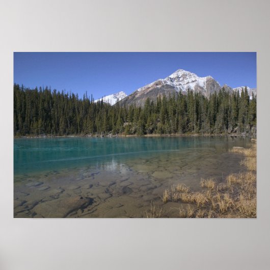 Canada, Alberta, Jasper National Park: JASPER, Poster (Voorkant)