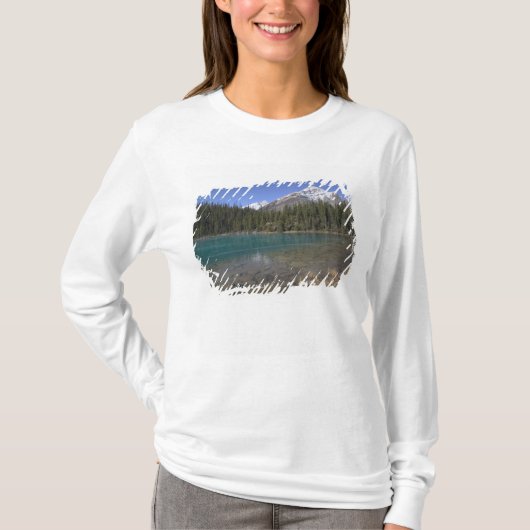 Canada, Alberta, Jasper National Park: JASPER, T-shirt (Voorkant)