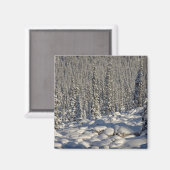 Canada, Alberta, Jasper National Park. Magneet (Voorkant / Achterkant)