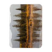 Canada, Alberta, Jasper National Park Magneet (Verticaal)