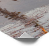 Canada, Alberta, Jasper National Park Poster (Hoek)