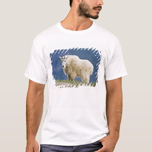 Canada, Alberta, Jasper National Park T-shirt (Voorkant)