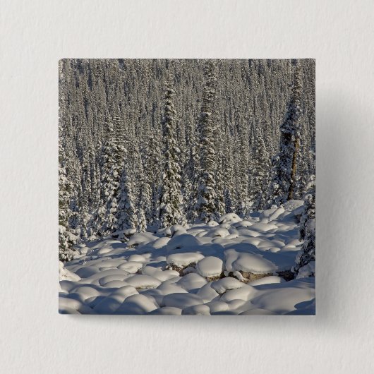 Canada, Alberta, Jasper National Park. Vierkante Button 5,1 Cm (Voorkant)