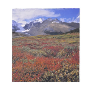 Canada, Alberta, Nationaal park Banff. Blauwe bosb Notitieblok