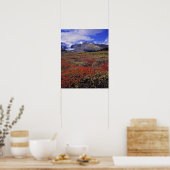 Canada, Alberta, Nationaal park Banff. Blauwe bosb Poster (Keuken)
