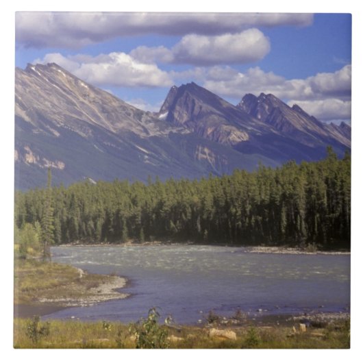 Canada, Alberta, Nationaal park Jasper. Groot Tegeltje (Voorkant)