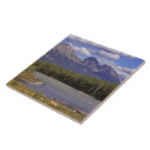 Canada, Alberta, Nationaal park Jasper. Groot Tegeltje (Zijkant)