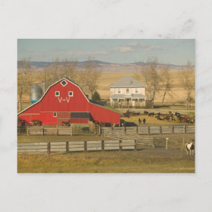 Canada, Alberta, Pincher Creek: Rode schuur & ranc Briefkaart