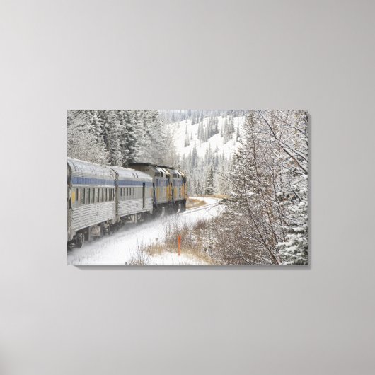 Canada, Alberta. Sneeuwtrein VIA Rail tussen Canvas Afdruk (Voorkant)