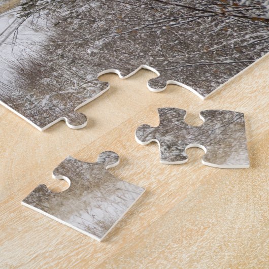 Canada, Alberta. Sneeuwtrein VIA Rail tussen Legpuzzel (Zijkant)