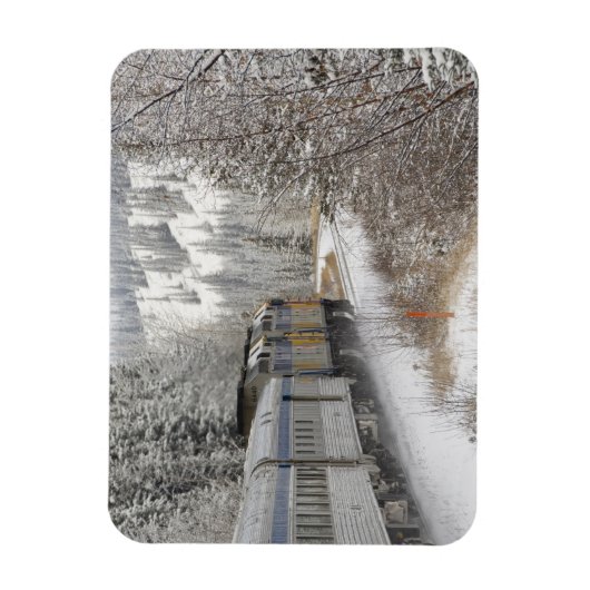 Canada, Alberta. Sneeuwtrein VIA Rail tussen Magneet (Verticaal)