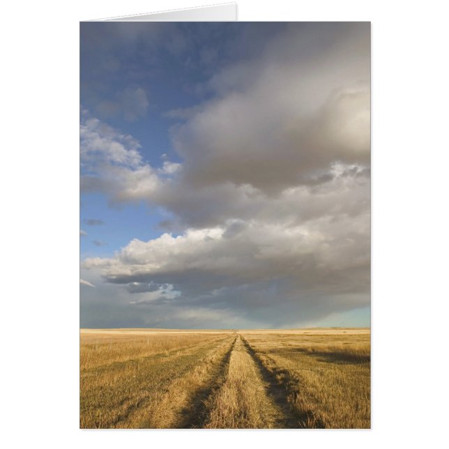 Canada, Alberta, Stand Off: Landschap met (Voorkant)