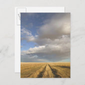 Canada, Alberta, stand-off: landschap met Briefkaart (Voorkant / Achterkant)