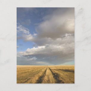 Canada, Alberta, Stand Off: Landschap met Briefkaart