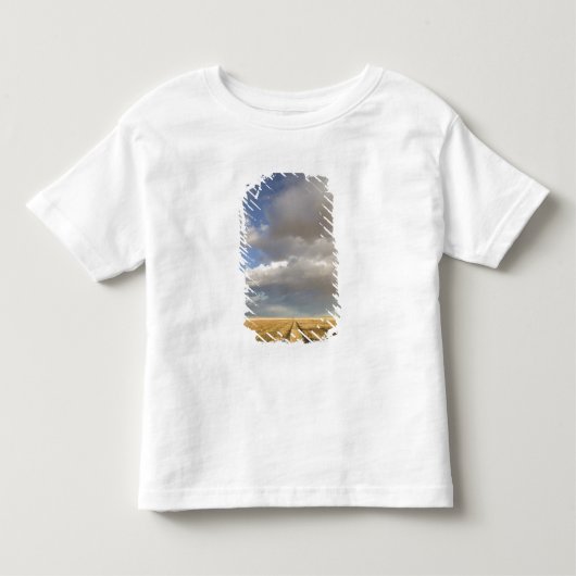 Canada, Alberta, Stand Off: Landschap met Kinder Shirts (Voorkant)