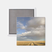 Canada, Alberta, Stand Off: Landschap met Magneet (Voorkant / Achterkant)