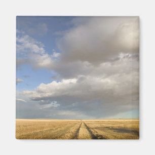 Canada, Alberta, Stand Off: Landschap met Magneet
